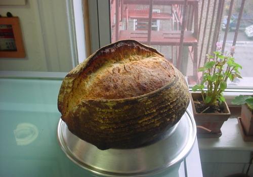 new York levain