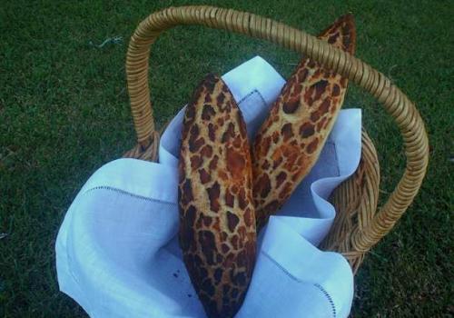 (2) Mottled Golden Semolina Sourdough, June 2009