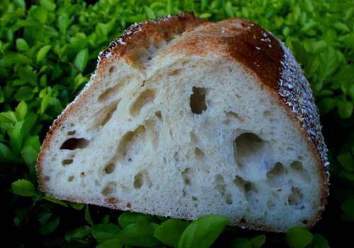 (5a) crumb of Sourdough made with Grape Starter