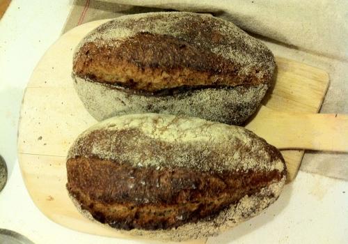 Sourdough Wholewheat/rye with sunflower seeds