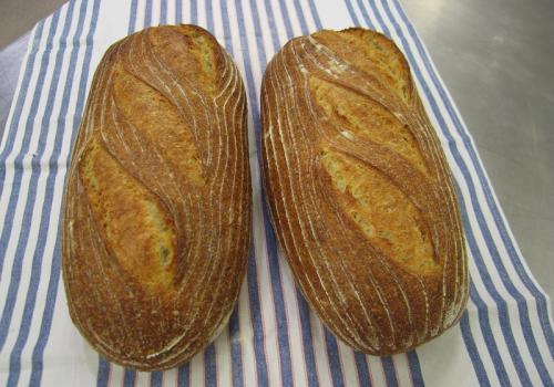 More 20% Rye Sourdough cycled a 4th time