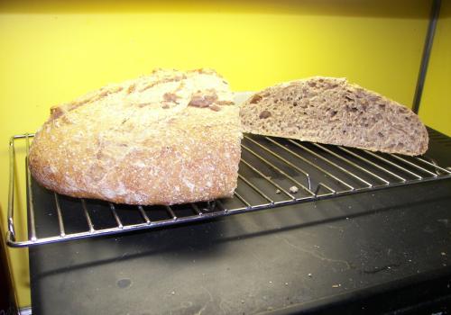 Whole wheat 2 3 2012 027