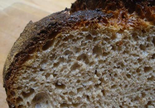 (19a) crumb of Miche made at Artisan III course at SFBI