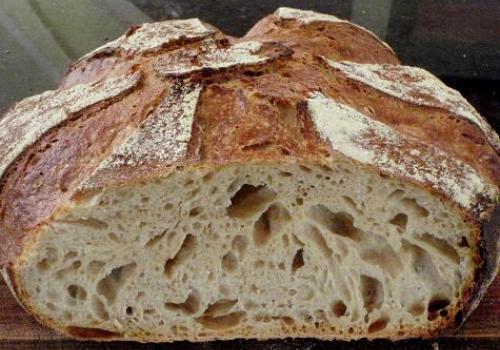 (57a) crumb of T80 Miche, March 2010