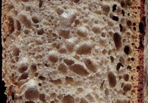 (67a) crumb of 3% Teff 3% Spelt 3% Rye 3% Buckwheat and 25% Four Leaf's 85% Light Flour