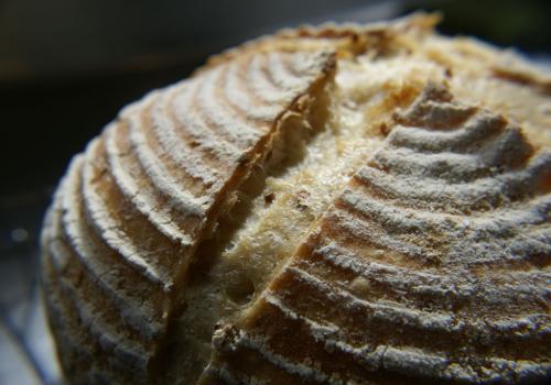 First loaf of 2010. White sourdough with kibbled grains