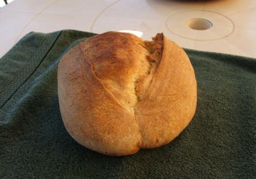 new_Cut Loaf 001