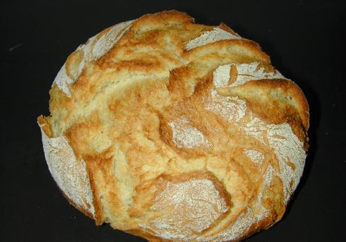 Pugliese: a sourdough semolina bread flour