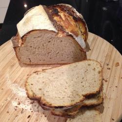 First loaf crumb
