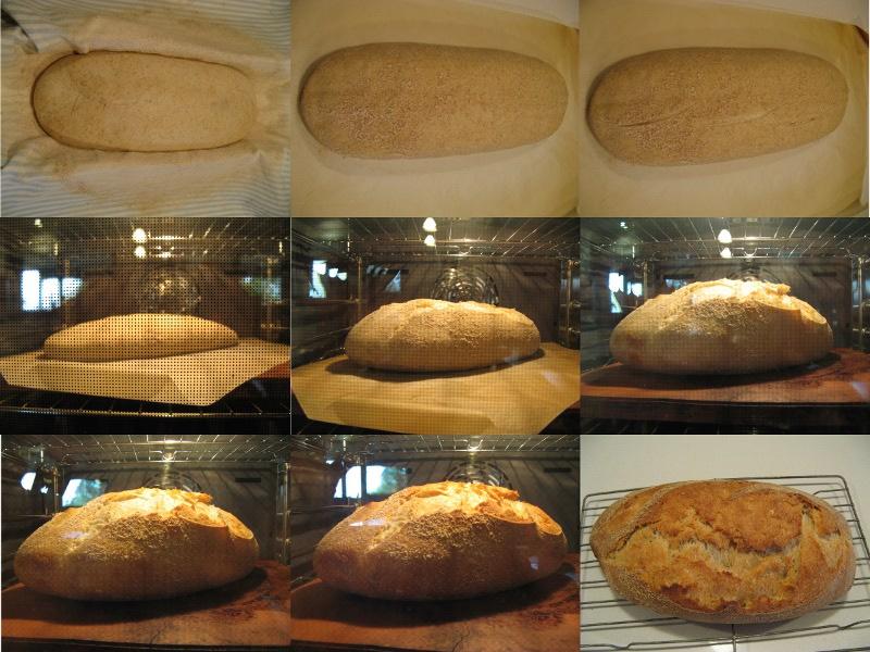 More Bread - Sourdough