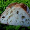 (5a) crumb of Sourdough made with Grape Starter