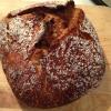 whole wheat bread from revived starter