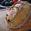 Semolina-Bread-with-Cranberries-Fennel-and-Pine-Nuts