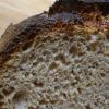 (19a) crumb of Miche made at Artisan III course at SFBI
