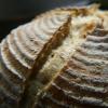 First loaf of 2010. White sourdough with kibbled grains