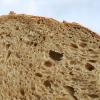 crumb-close_MG_5829.jpg