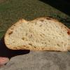 new_Cut Loaf 002