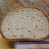 new_Rye crumb